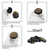 Gordon 4 Lay Aluminum Alloy Herb Grinder, Black 60 mm Smoker Grinder, Easy Clean Herb Grinders